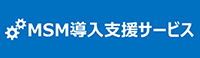 msm_introduction_support_service