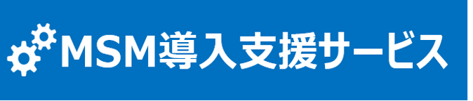 msm_introduction_support_service