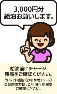 金額もしくは給油量をご指定下さい。
