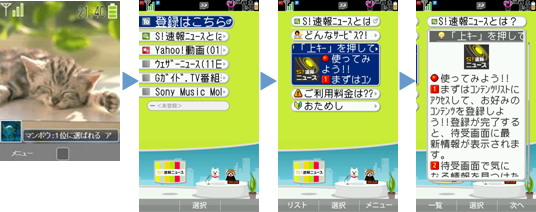 Flash(R)対応のイメージ