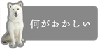 ＋magazineウィジェット