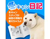 冬キャン日記トップページ