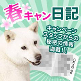 春キャン日記