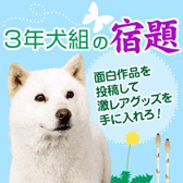 3年犬組の宿題