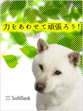お父さん待受 [1]