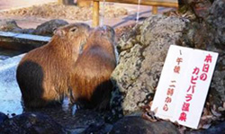 フォト蔵コース