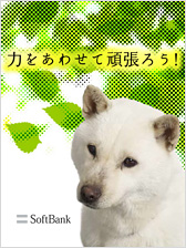 お父さん待受 [2]