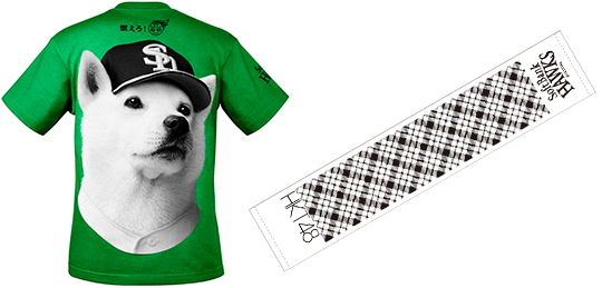 燃えろ!VV Tシャツ/HKT48&HAWKSタオルマフラー