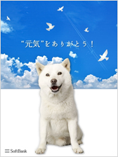 白戸家のお父さん壁紙