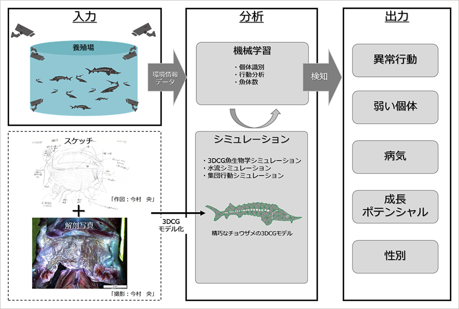 本共同研究の流れ