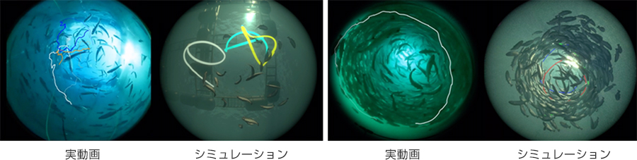 実動画とシミュレーション結果の比較(左:疎の状態 右:密な状態)