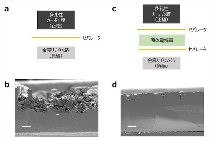 図1:(a)リチウム空気電池の構成図。(b)充放電反応後の負極の断面SEM像(保護膜なしの場合)。100µmの厚みだった金属リチウム負極が50µm程度の厚みまで減少しており、金属リチウム負極が著しく劣化しています。(c)固体電解質を保護膜として導入した場合のリチウム空気電池の構成図。(d)充放電反応後の負極の断面SEM像(保護膜ありの場合)。初期の100µmの厚みをほぼ維持しており、劣化が大幅に抑制されています。スケールバー:20µm