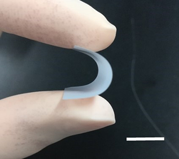 図2:厚み6µmの固体電解質膜。スケールバー:1cm