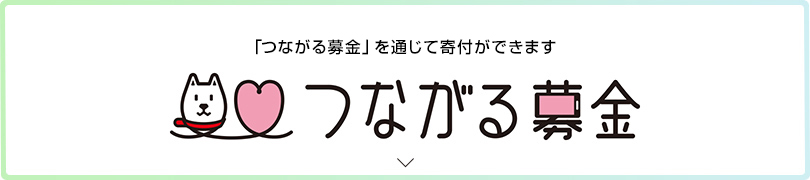「つながる募金」を通じて寄付ができます つながる募金