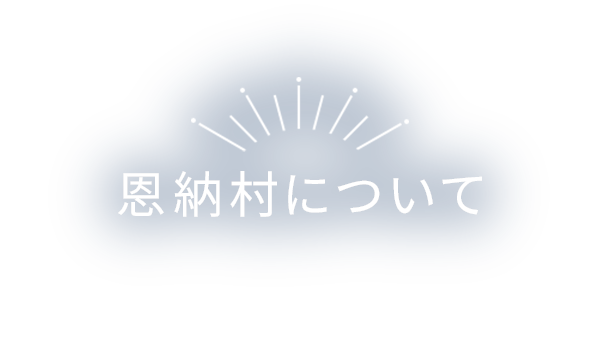 恩納村について