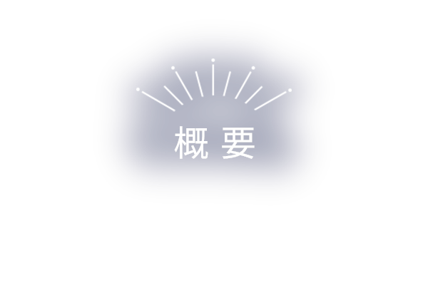 概要