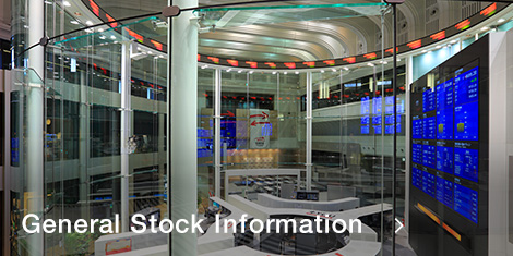 General Stock Information