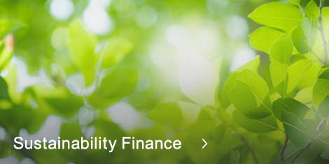 Sustainability Finance