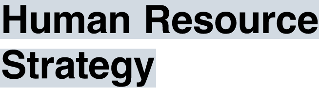 Human Resource Strategy