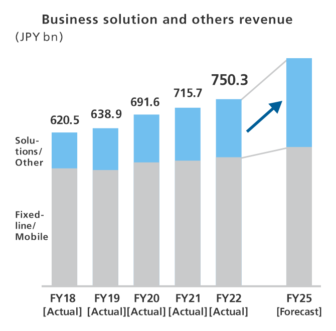 Business solution and others revenue