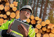 Forestry (Mountainous areas)