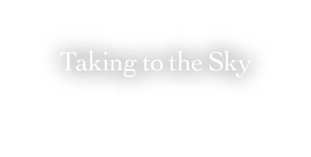 Taking to the Sky SoftBank's Non-Terrestrial Network (NTN) for Providing Communication Networks Everywhere