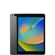 iPad (9th generation)