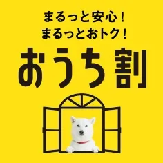 おうち割 でんきセット
