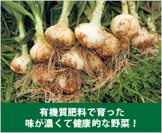 有機質肥料で育った味が濃くて健康的な野菜！