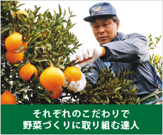 それぞれのこだわりで野菜づくりに取り組む達人