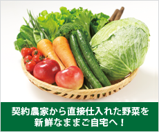 契約農家から直接仕入れた野菜を新鮮なままご自宅へ！