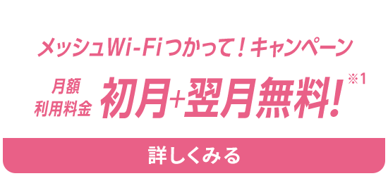メッシュWi-Fiつかって！キャンペーン月額利用料金初月＋翌月無料！※1詳しくみる