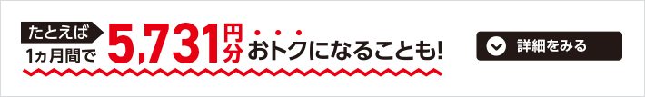 たとえば1ヵ月間で5,731円分おトクになることも！詳細をみる