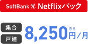 SoftBank 光 Netflixパック 集合 戸建 8,250円/月