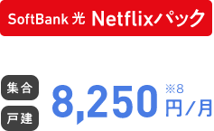 SoftBank 光 Netflixパック 集合 戸建 8,250円/月