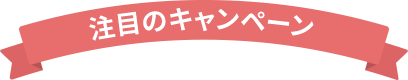 注目のキャンペーン