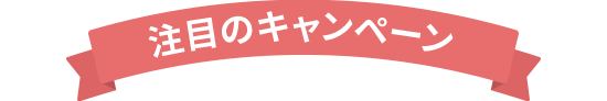 注目のキャンペーン