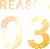 REASON 03