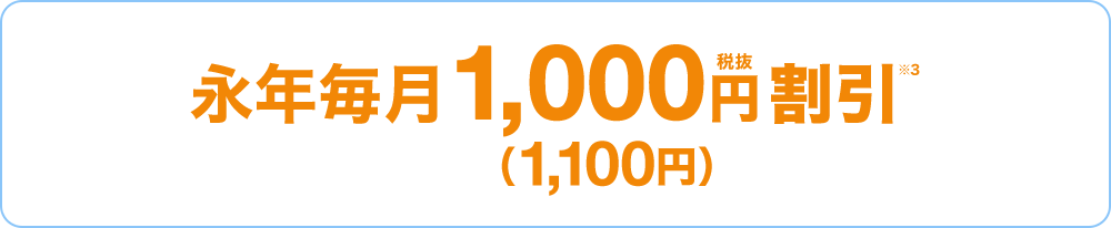 永年毎月1,000円税抜割引※3 (1,100円)