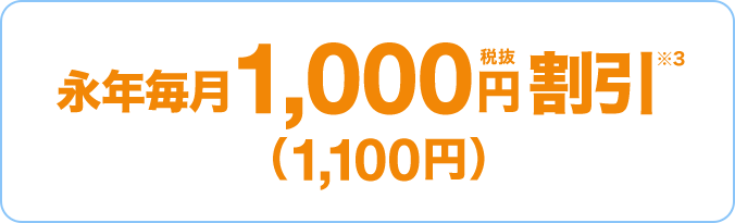 永年毎月1,000円税抜割引※3 (1,100円)