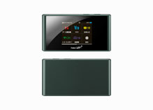 Pocket WiFi® 303ZT