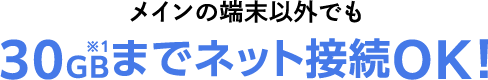 メインの端末以外でも 30GBまでネット接続OK！