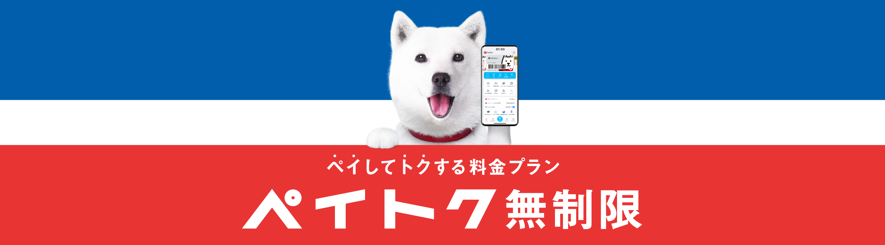 ペイしてトクする料金プラン ペイトク無制限