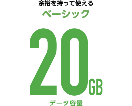 余裕を持って使えるベーシック20GBデータ容量