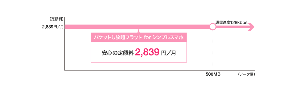 パケットし放題フラット for シンプルスマホ 安心の定額料2,839 円/月