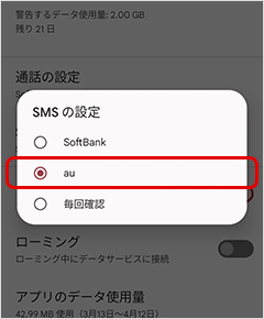 「au（副回線）」に設定する