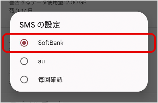「SoftBank（主回線）」に設定する
