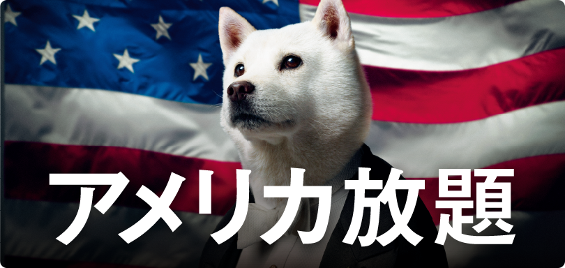 通話もネットも無料！アメリカ放題 アメリカ・ハワイでいつものスマホがそのまま使える