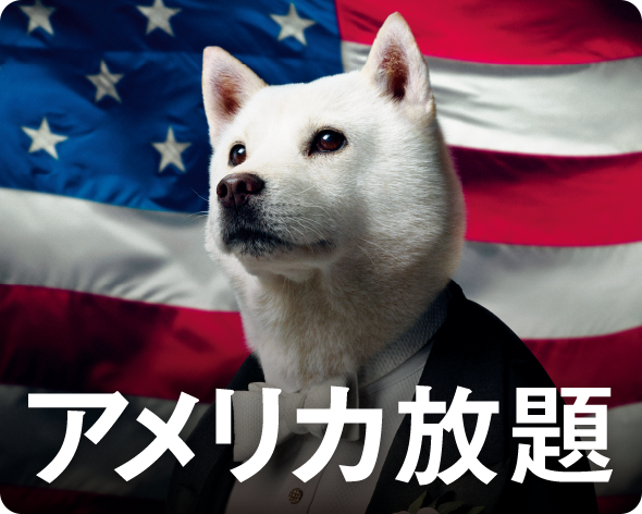 通話もネットも無料！アメリカ放題 アメリカ・ハワイでいつものスマホがそのまま使える
