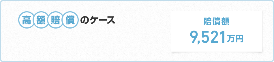 高額賠償のケース 賠償額9,521万円